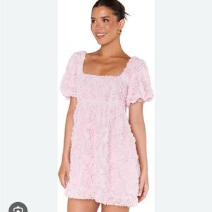 Show Me Your MuMu Pink Babydoll Mini Dress